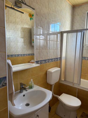 uma casa de banho com um lavatório, um WC e um espelho. em Guest House Anna Vendégház em Svetozar Miletić