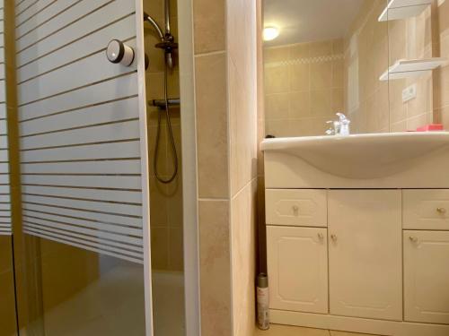 ein Bad mit einem Waschbecken und einer Dusche in der Unterkunft Gîte Mésanger, 2 pièces, 6 personnes - FR-1-306-1219 in Mésanger