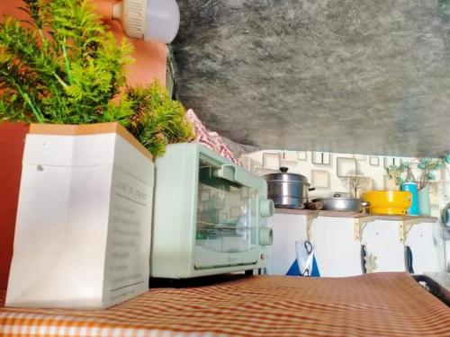 a kitchen with a counter with plants on it at WINDY HILL VŨNG TÀU HOMESTAY in Vung Tau