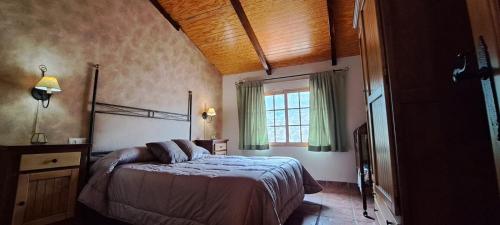 een slaapkamer met een bed en een raam bij Apartamentos Casa Rural La Pandera in Jaén