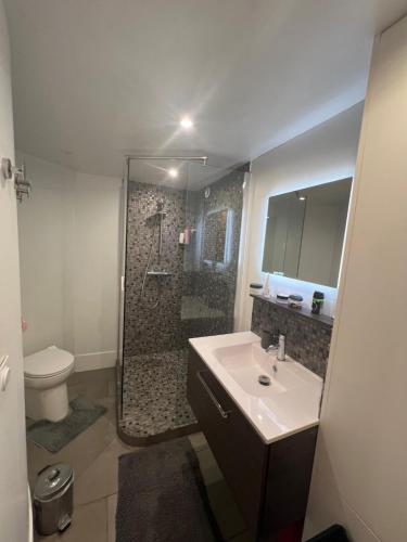a bathroom with a shower and a sink and a toilet at Loft sur l'eau avec parking in Paris