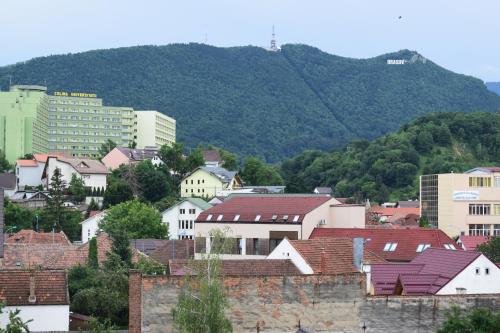 a city with buildings and a mountain in the background at Hotel Regal in Braşov