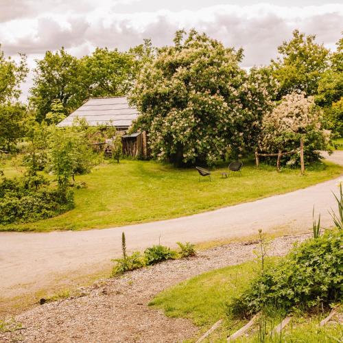 Ecolodge La Belle Verte – Photos 5