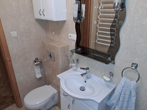 a bathroom with a sink and a toilet and a mirror at Pokoje Jasionka Zaczernie in Trzebownisko