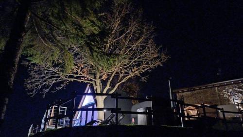 un árbol delante de un edificio por la noche en Torretta Glamping & Relax, en Arola