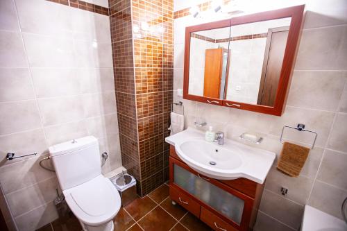 a bathroom with a toilet and a sink and a mirror at Rodon Apartment with Great View, Sauna and Jacuzzi in Litochoro