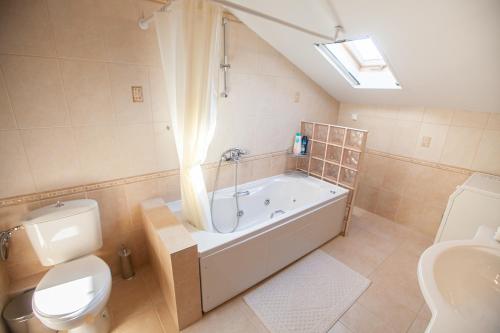 e bagno con vasca, servizi igienici e lavandino. di Rodon Apartment with Great View, Sauna and Jacuzzi a Litóchoron