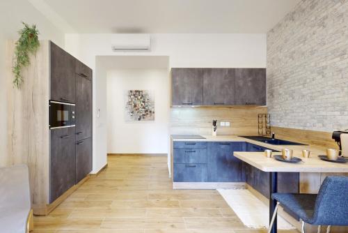 une grande cuisine avec des placards bleus et un comptoir dans l'établissement Suite Gold-Stars FSHH, à Nice