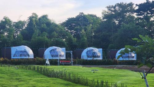 un grupo de cúpulas azules en un campo en River hill khaoyai camping, en Pong Talong