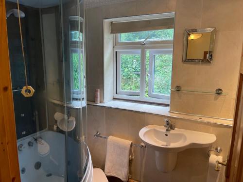 a bathroom with a shower and a sink and a window at Llangollen cosy apartment in Llangollen