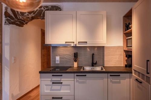 Kuchyň nebo kuchyňský kout v ubytování Landhaus Jenul