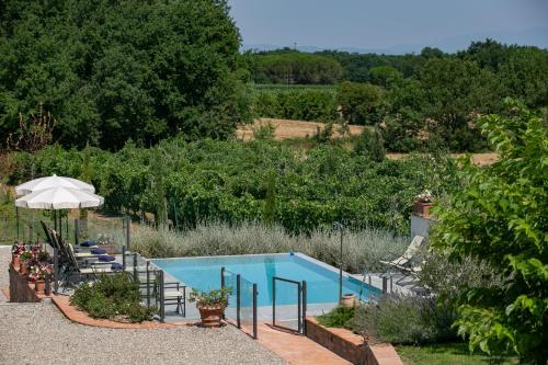a swimming pool in a garden with chairs and an umbrella at La piccola Severina in Cortona