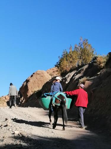 two people and a horse with a load on its back at Gite chez Ali Agouti Maison Berbère in Agouti