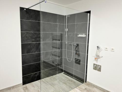 a shower with a glass door in a bathroom at Wittichenauer Bleibe in Elsterheide