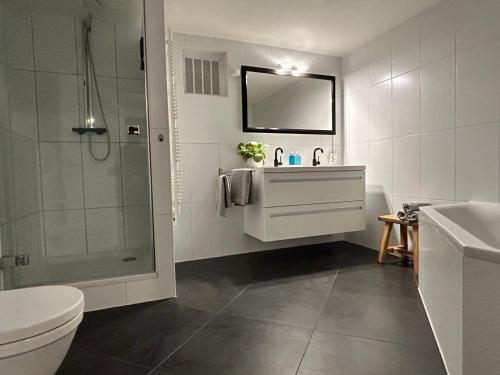 a bathroom with a shower and a sink and a toilet at Villa Park in Bennebroek