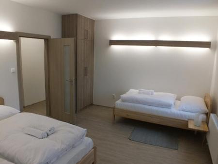 um quarto com duas camas num quarto com um espelho em Penzion U Koruny em Ústí nad Labem
