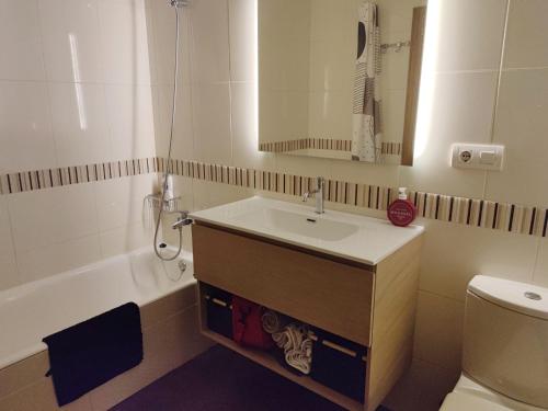 a bathroom with a sink and a toilet and a mirror at Espacio amplio y luminoso in Zumaia