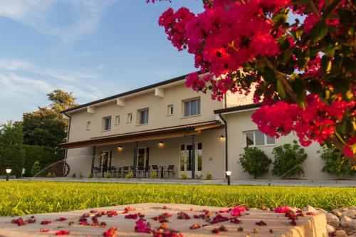 a house with pink flowers in front of it at Agriturismo Ca' Manzato in Passarella