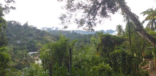 Elle offre une vue sur une colline avec des arbres et une montagne. dans l'établissement Lions Villa & Resort, à Deniyaya