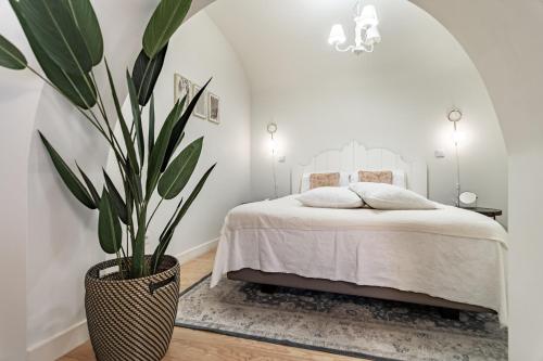 Templo Boutique Hotel