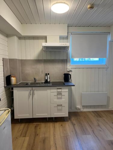 Nhà bếp/bếp nhỏ tại Gamle Oslo Apartments - Enebakkveien