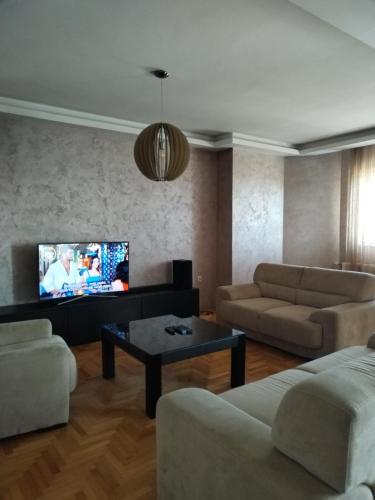 - un salon avec un canapé et une télévision dans l'établissement TEA APARTMAN, à Niš