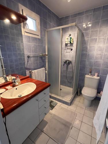 une salle de bain avec une douche, un lavabo et des toilettes dans l'établissement 2 bedroom apartment with a pool in the heart of Cannes easy walk to the main beach on La Croisette - 2191, à Cannes