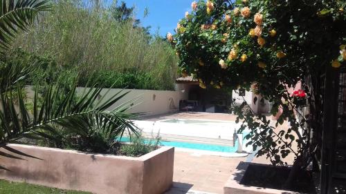 un jardin avec une piscine, un arbre et une clôture dans l'établissement Aux Portes de la Camargue, à Arles