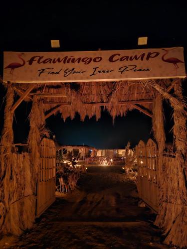 flamingo camp
