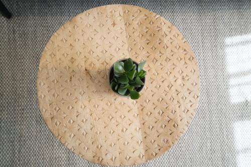 a green plant sitting on a straw hat at Bijou Studio with Ambiance near Lake in Faulensee