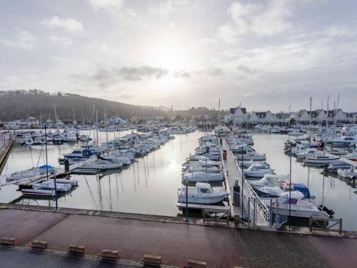 Un tas de bateaux sont amarrés dans un port de plaisance dans l'établissement Apartment Le Manoir-2 by Interhome, à Cabourg