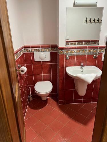 a bathroom with a toilet and a sink at Apartmány Horský Dvůr in Bedřichov