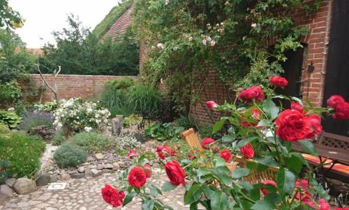 een tuin met rode rozen en een bank bij Ferienwohnung ,,Zur Alten Mühle'' im Storchendorf Rühstädt in Rühstädt