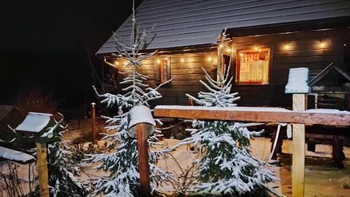 una cabaña con árboles nevados delante de ella en Beskidzka Ostoja, en Koszarawa
