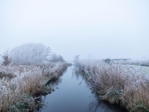 a river in a field with snow on it at Holiday Home Natuurlijk de Veenhoop by Interhome in De Veenhoop