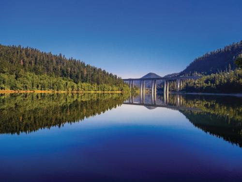 a view of a lake with trees and a bridge at Chalet The Fox by Interhome in Zlobin