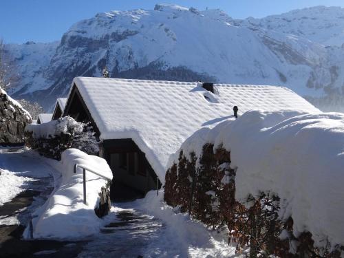 une maison recouverte de neige avec une montagne en arrière-plan dans l'établissement Apartment Fellenrüti 81 by Interhome, à Engelberg