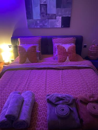 Een bed of bedden in een kamer bij Le Cocoon Lodge du Gapeau & Massage