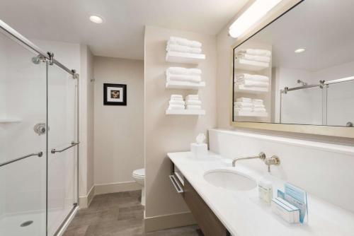 a bathroom with a sink and a shower at Hampton Inn by Hilton Elko Nevada in Elko
