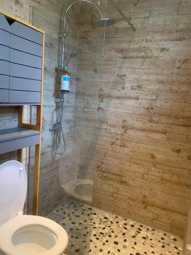 a bathroom with a toilet and a glass shower at Les Châlets du Medinilla in La Plaine des Palmistes