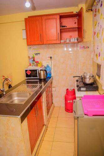 a small kitchen with a sink and a stove at Belch 105 Apartment in Kisumu