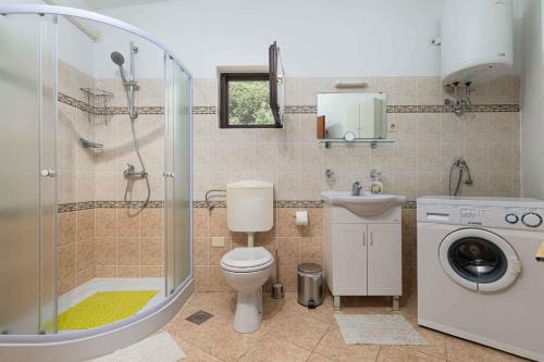 a bathroom with a shower and a toilet and a sink at Apartment in Mugeba/Istrien 27611 in Mugeba