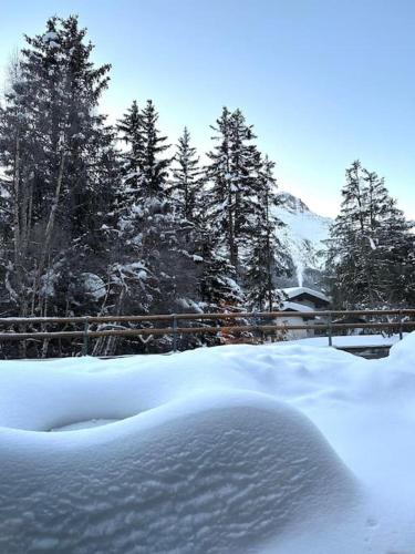 a snow covered yard with trees and a fence at Wonderful cosy apartment in St. Moritz in St. Moritz