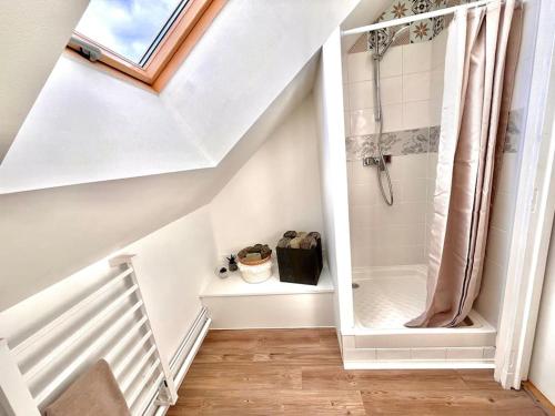 a bathroom with a shower in a attic at La maison de Paulette in Onzain