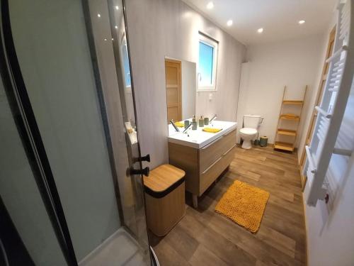 een badkamer met een wastafel en een toilet bij LE ZÈDÈL - Duplex 100m2 avec terrasse et jardin vue montagne in Aigueblanche