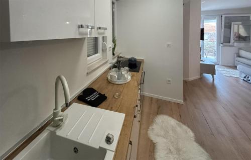 扎達爾的住宿－Cozy Apartment In Zadar With Wi-fi，一个带水槽和柜台的厨房