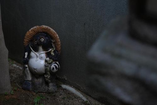 別荘の敷地内または近くにいる動物