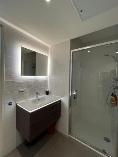 uma casa de banho com um lavatório e um chuveiro em vue mer-garage-500m port et plage em Sanary-sur-Mer