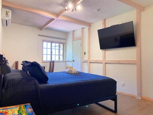 1 dormitorio con 1 cama y TV de pantalla plana en La Petite France, en San José de Maipo
