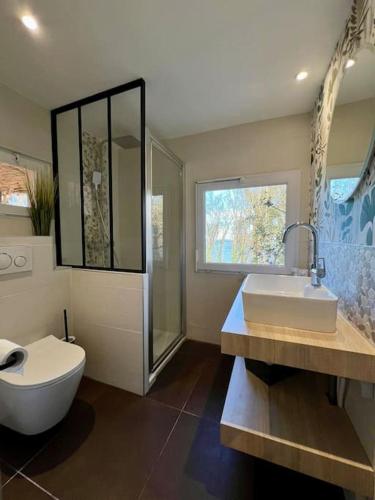 une salle de bain avec toilettes, lavabo et douche dans l'établissement Cottage Vue Mer proche Deauville Le Clos Marin, à Cricquebœuf